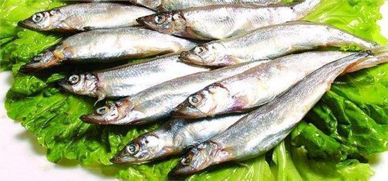 水產(chǎn)品進(jìn)口