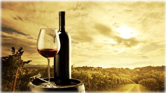 鑒別進(jìn)口紅酒 瀚而普