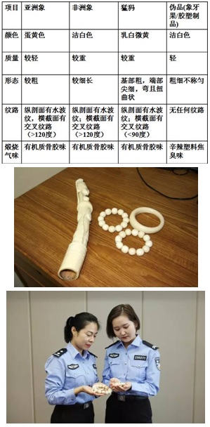 海關(guān)查獲野生動(dòng)植物,外貿(mào)代理,外貿(mào)進(jìn)出口代理