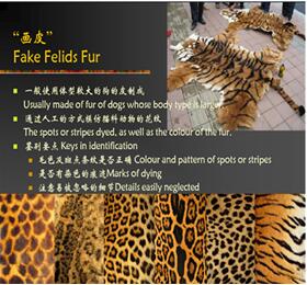 海關(guān)查獲野生動(dòng)植物,外貿(mào)代理,外貿(mào)進(jìn)出口代理