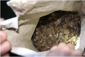 海關(guān)查獲野生動(dòng)植物,外貿(mào)代理,外貿(mào)進(jìn)出口代理