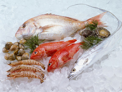 海鮮進(jìn)口 海鮮進(jìn)口