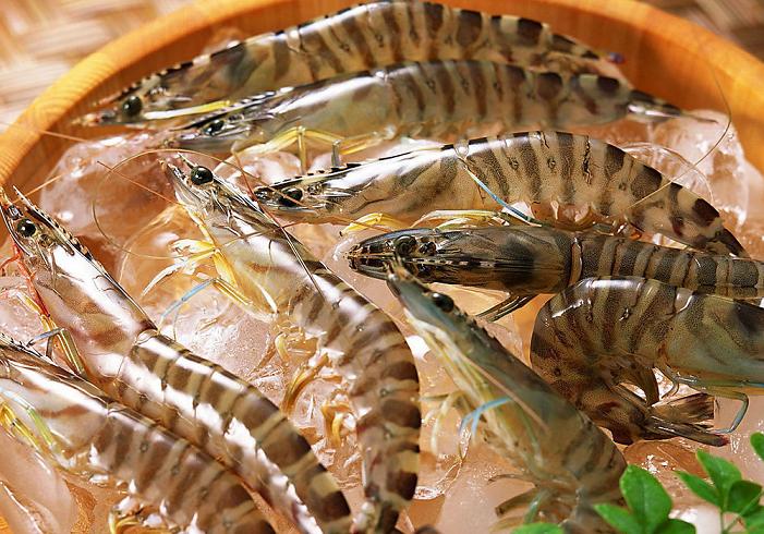 水產(chǎn)品進口