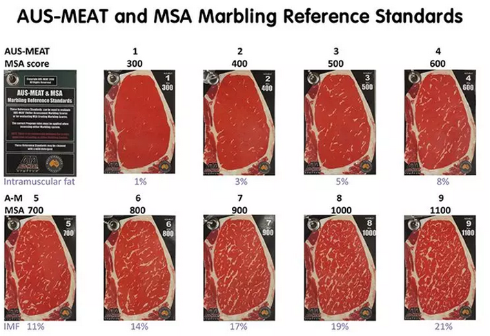 澳洲牛肉進口 澳洲牛肉進口