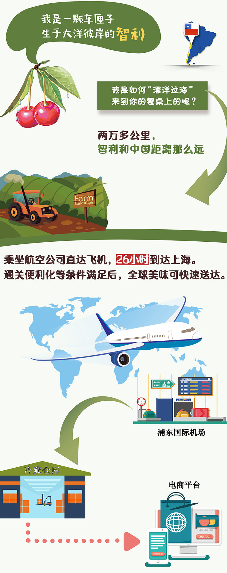 車厘子進口外貿(mào)代理公司,進博會