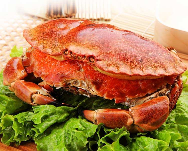 面包蟹外貿(mào)進(jìn)口代理公司