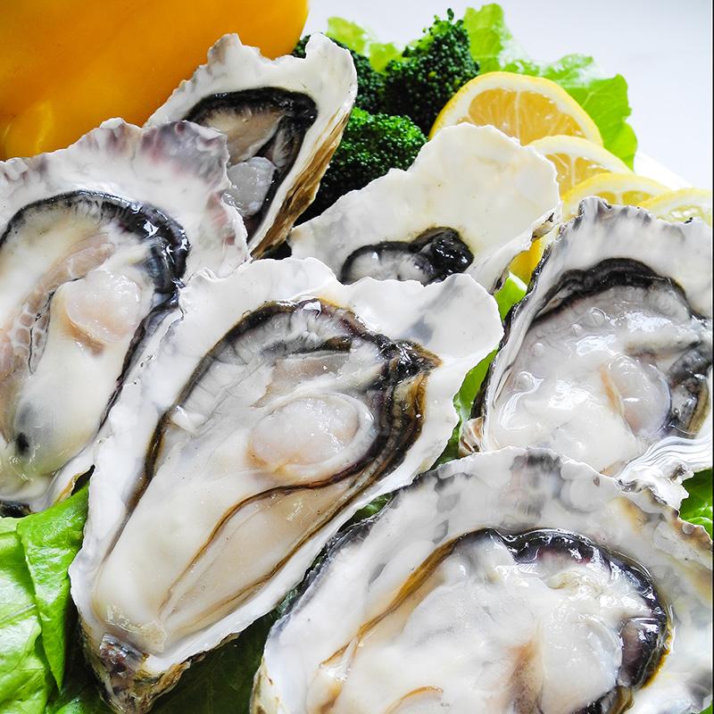 生蠔進(jìn)口外貿(mào)代理公司 生蠔進(jìn)口外貿(mào)代理公司