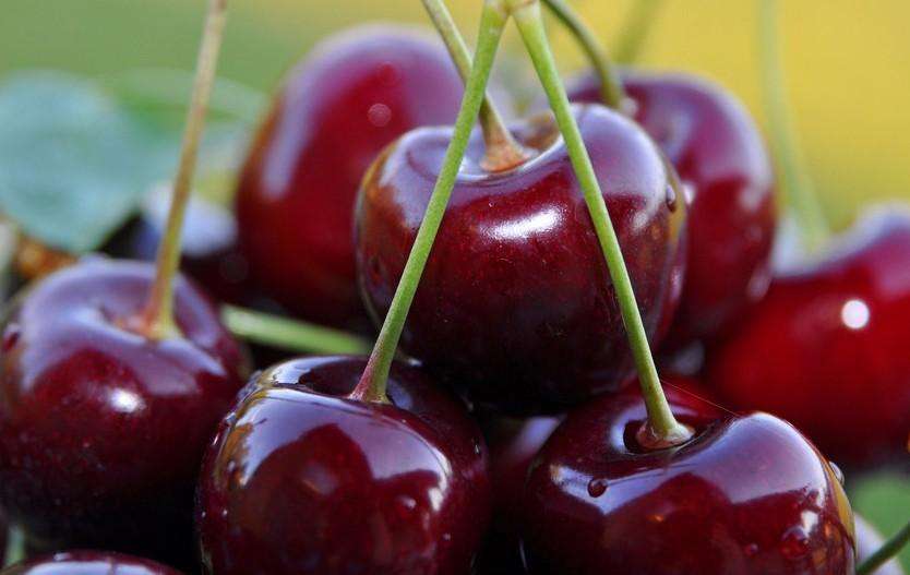 車?yán)遄油赓Q(mào)進口代理公司