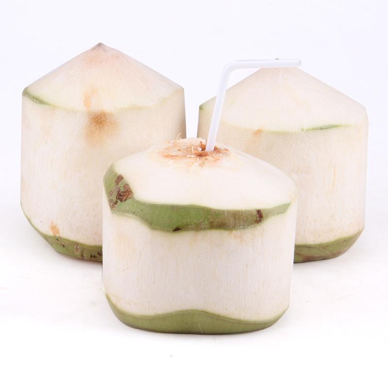 椰青進(jìn)口外貿(mào)代理公司 椰青進(jìn)口外貿(mào)代理公司