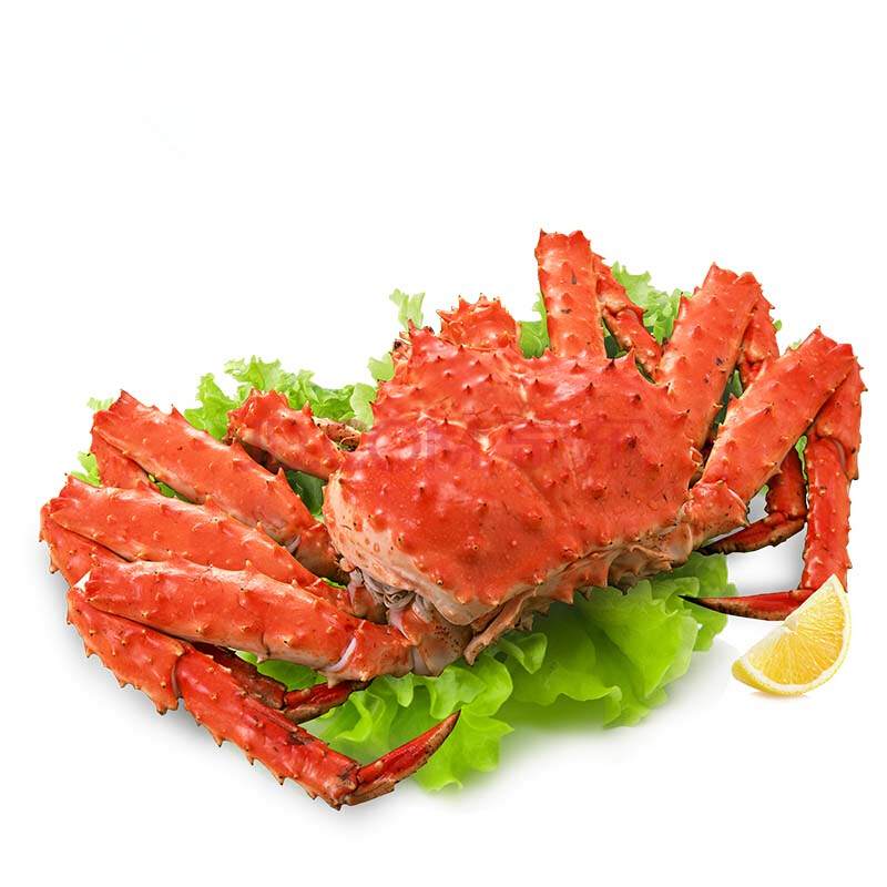 上海帝王蟹外貿(mào)進(jìn)口代理公司