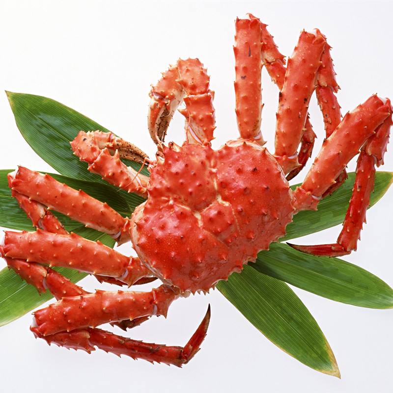 上海帝王蟹外貿(mào)進(jìn)口代理公司 上海帝王蟹外貿(mào)進(jìn)口代理公司