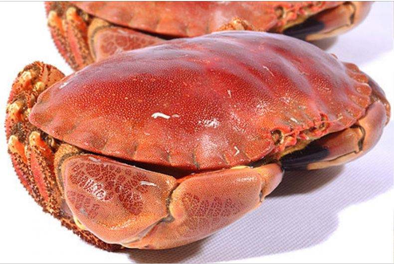 外貿(mào)進(jìn)口代理