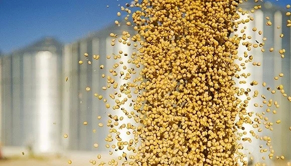 外貿(mào)進(jìn)口代理