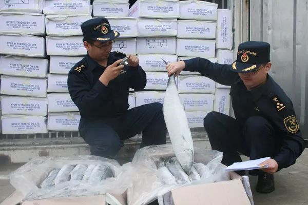 出口外貿(mào)代理