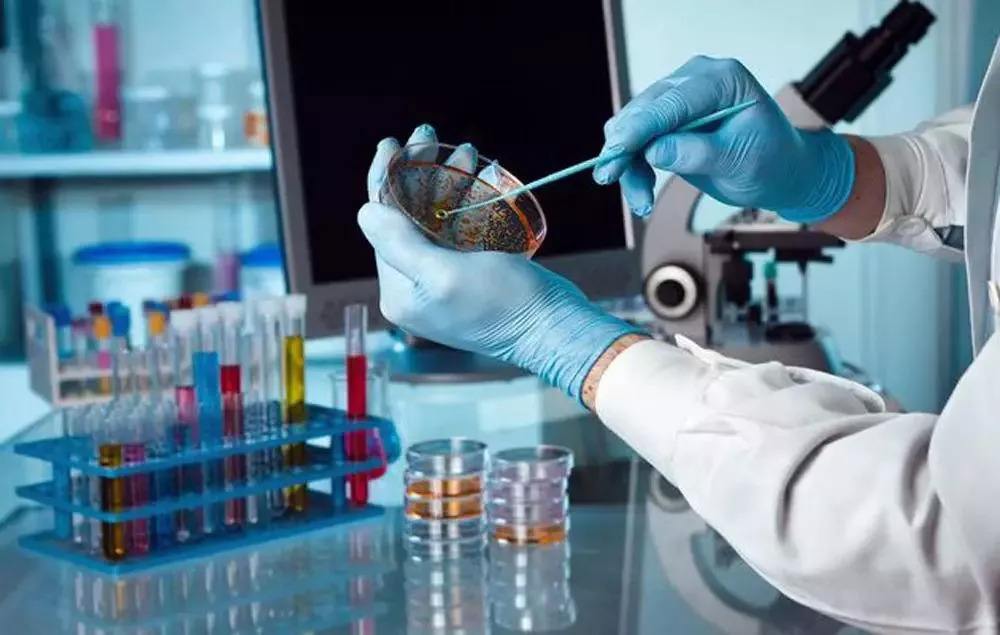 外貿(mào)進(jìn)口代理