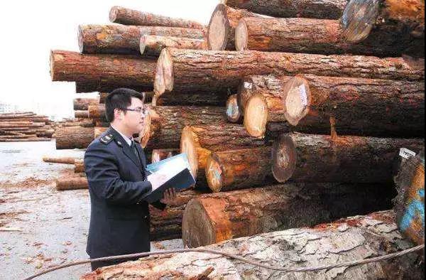 進口外貿(mào)代理