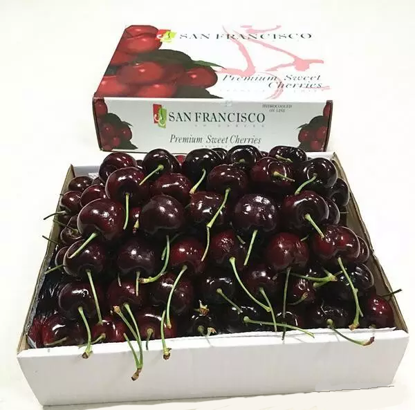 進(jìn)口外貿(mào)代理