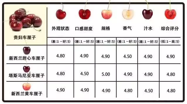 進(jìn)口外貿(mào)代理