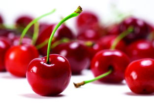 進(jìn)口外貿(mào)代理