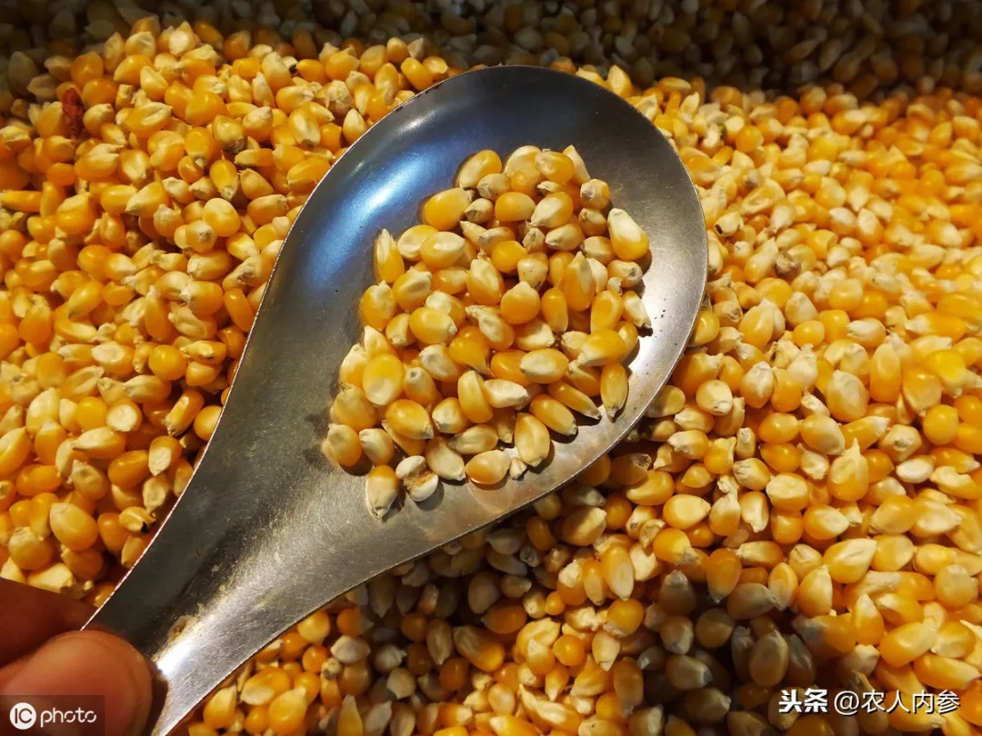 進(jìn)口外貿(mào)代理