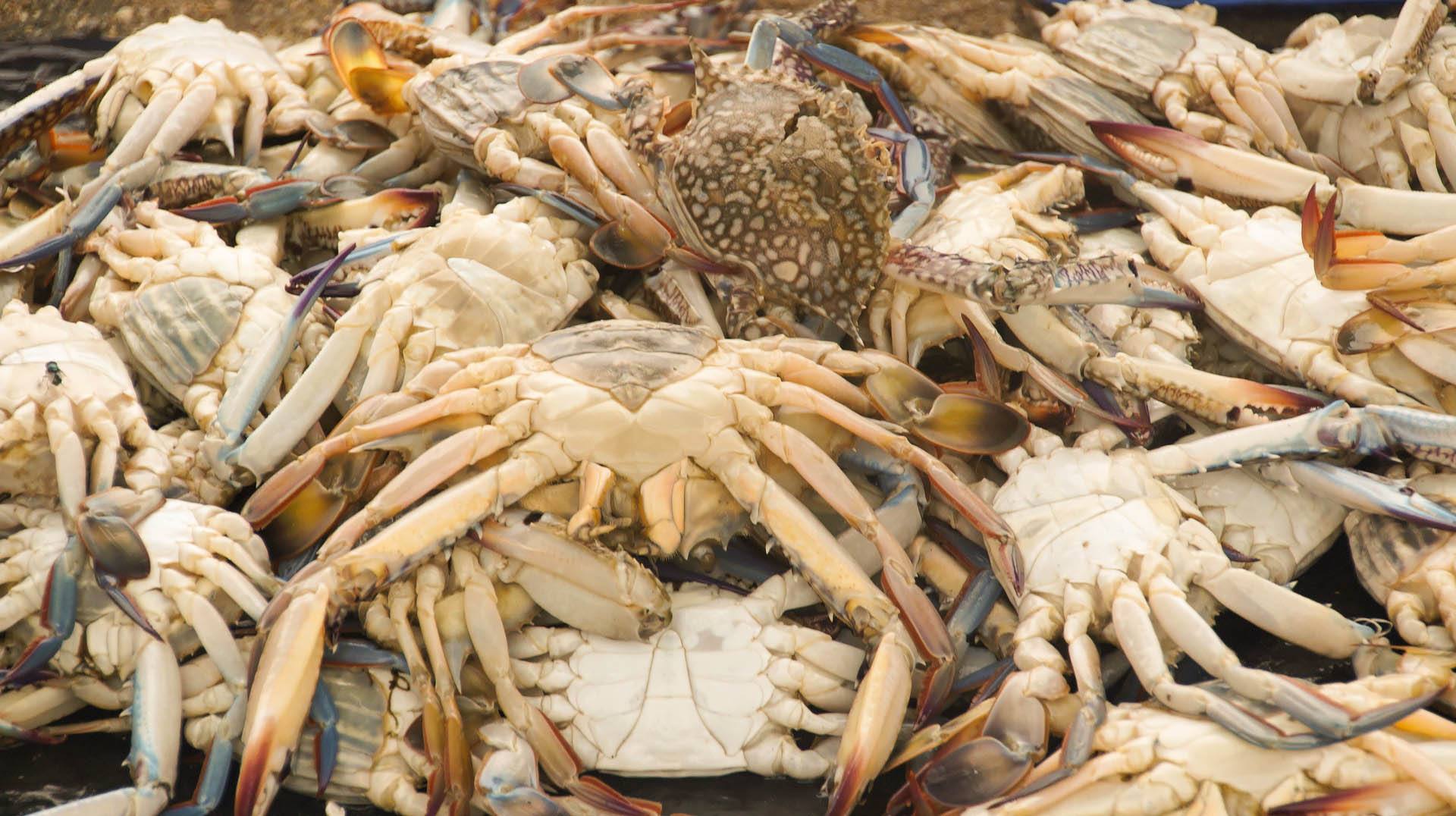 進口外貿(mào)代理