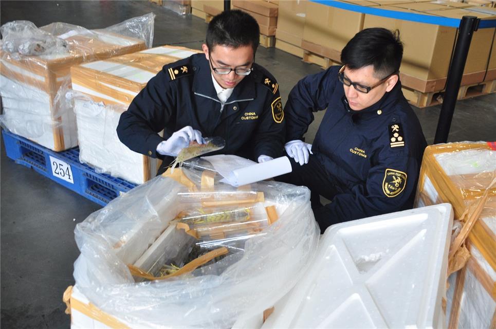 進口外貿(mào)代理