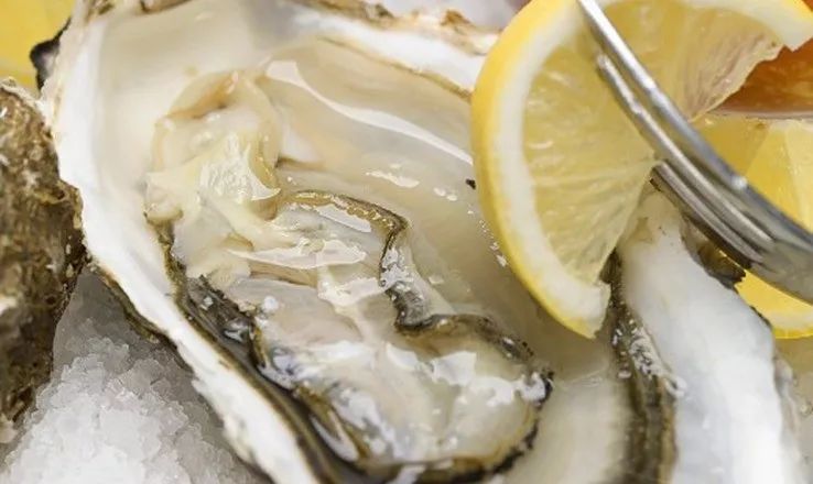 進口外貿(mào)代理