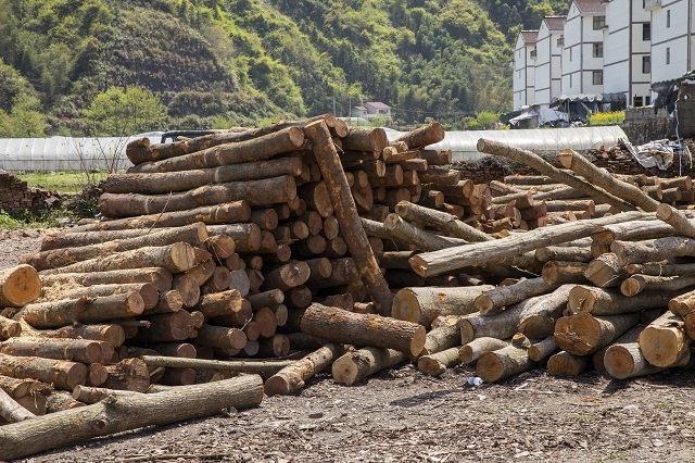 出口外貿(mào)代理