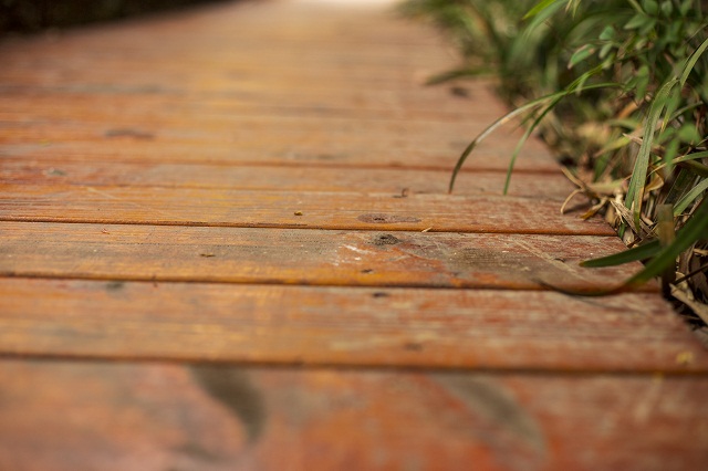 外貿(mào)進(jìn)口代理