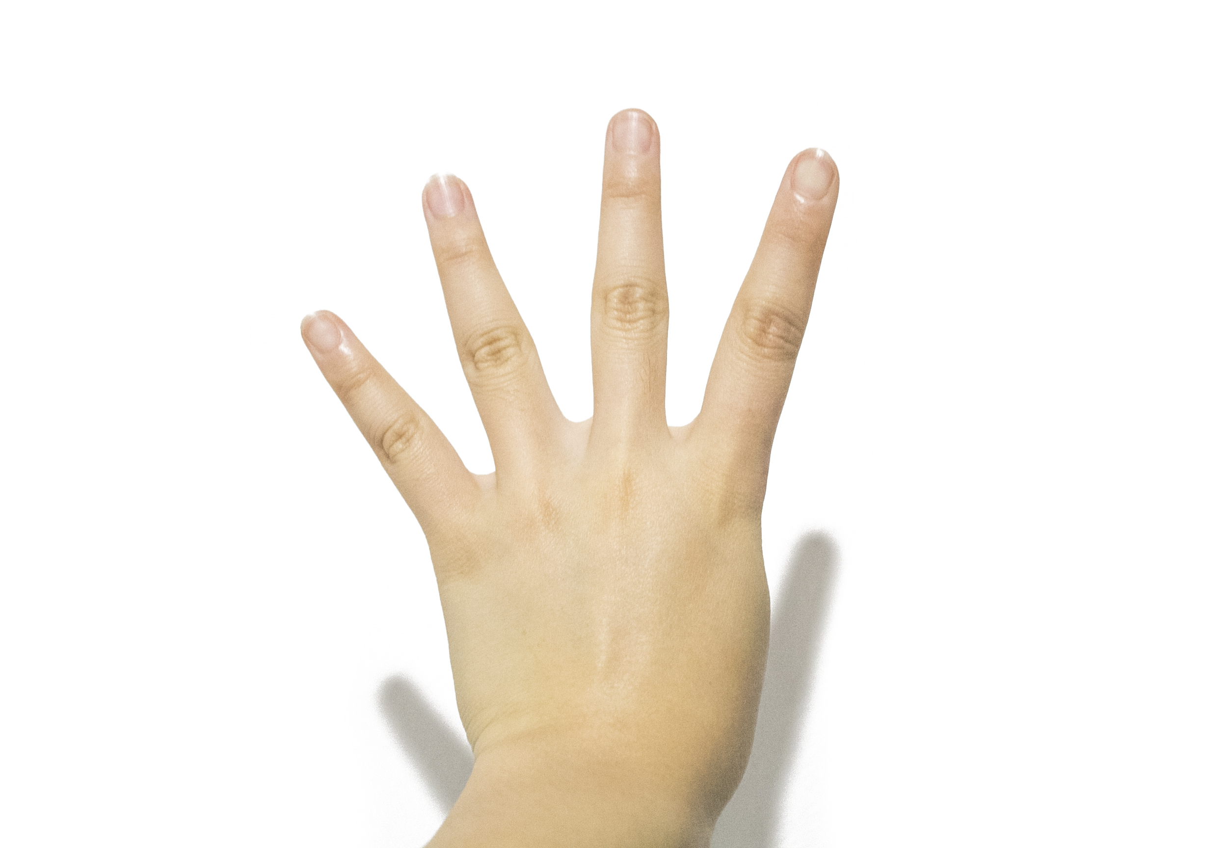 出口外貿(mào)代理