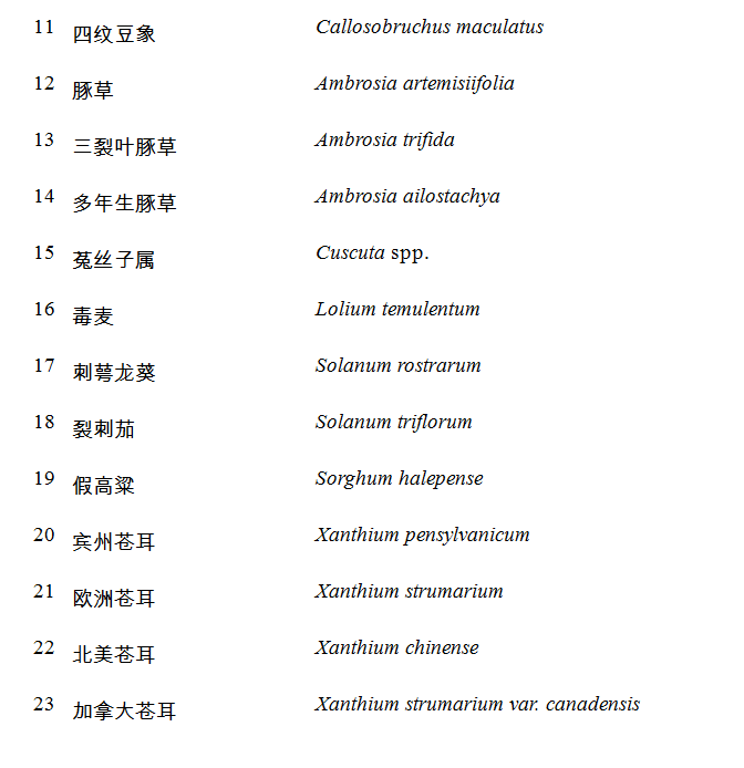 進(jìn)口外貿(mào)代理