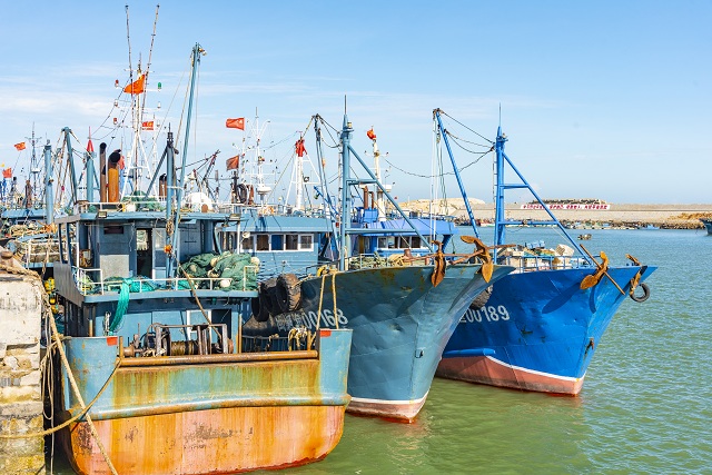 外貿(mào)出口代理