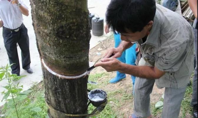 外貿(mào)進(jìn)口代理