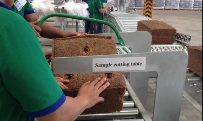 外貿(mào)進(jìn)口代理