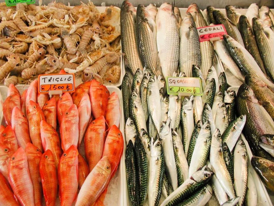 外貿(mào)進(jìn)口代理