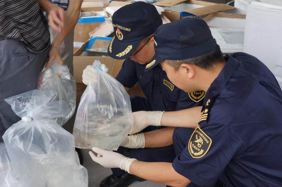 進(jìn)口外貿(mào)代理