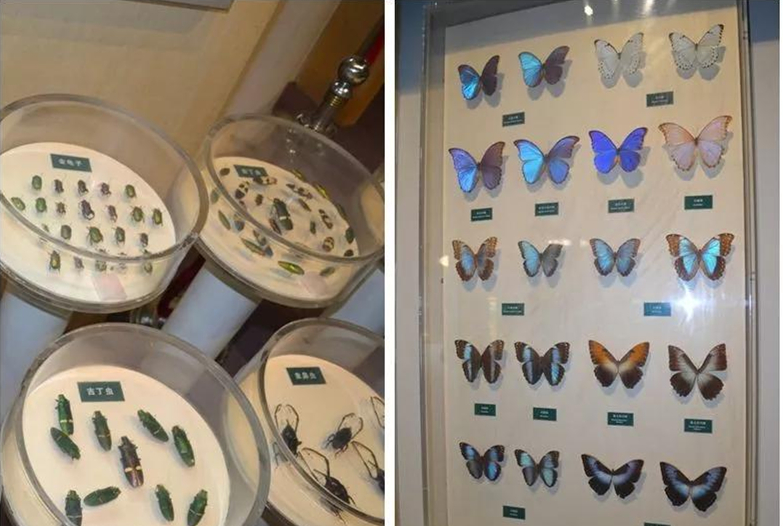 進(jìn)口外貿(mào)代理