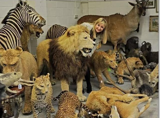 進(jìn)口外貿(mào)代理