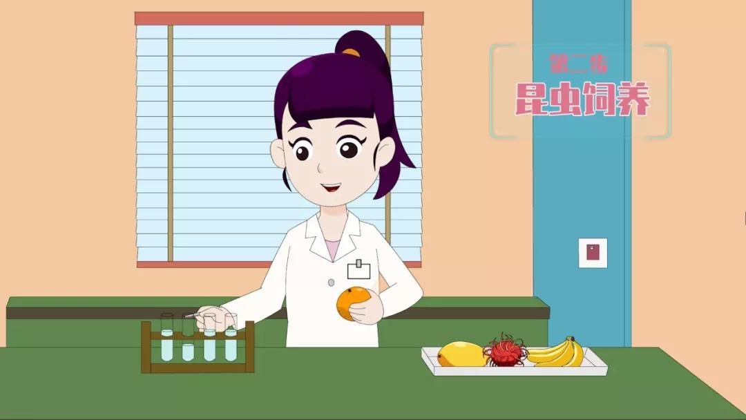 進(jìn)口外貿(mào)代理