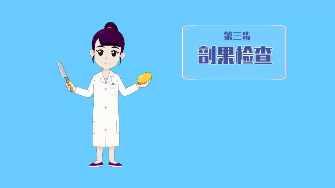 進(jìn)口外貿(mào)代理