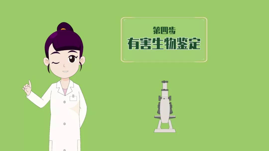 進(jìn)口外貿(mào)代理