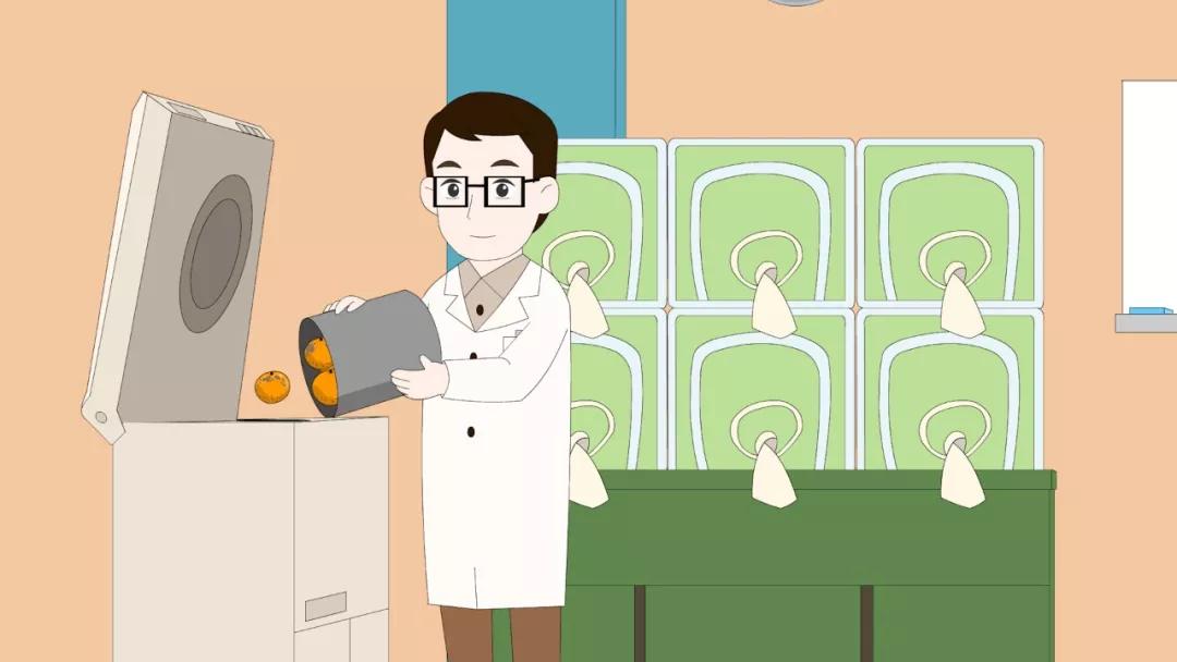 進(jìn)口外貿(mào)代理