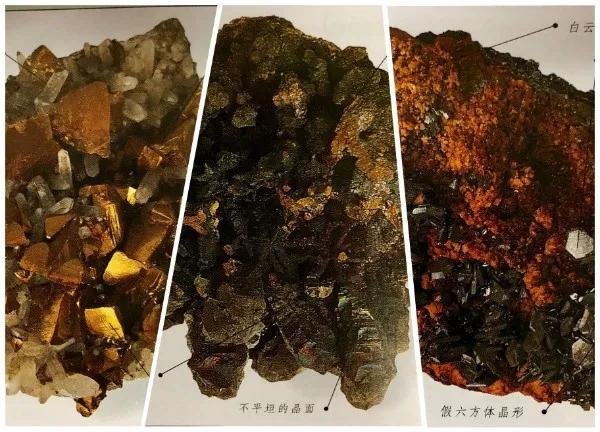 出口外貿(mào)代理