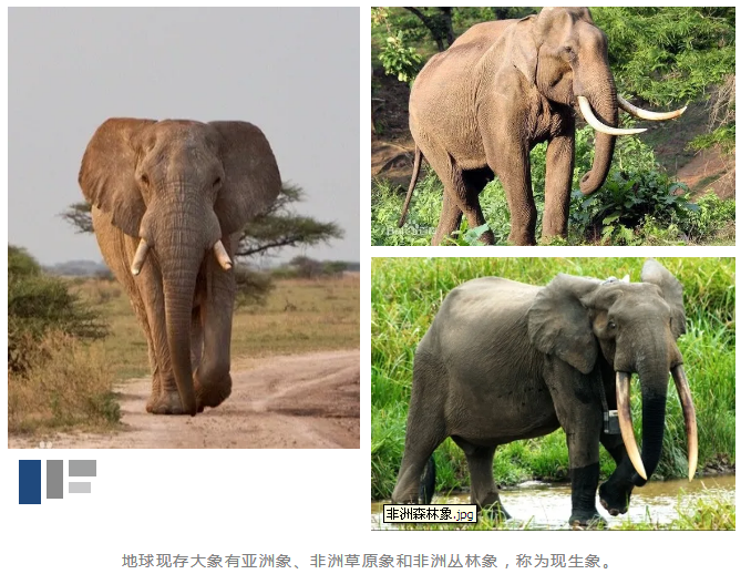 進(jìn)口外貿(mào)代理