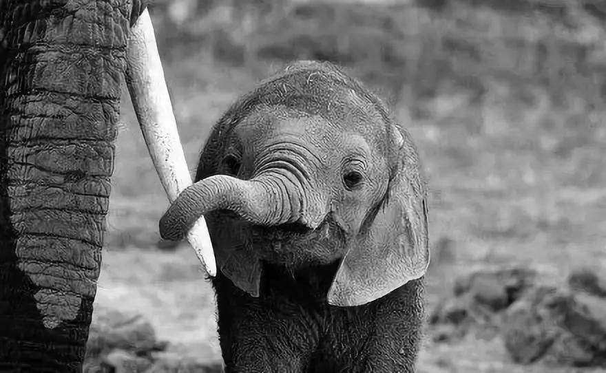 進(jìn)口外貿(mào)代理