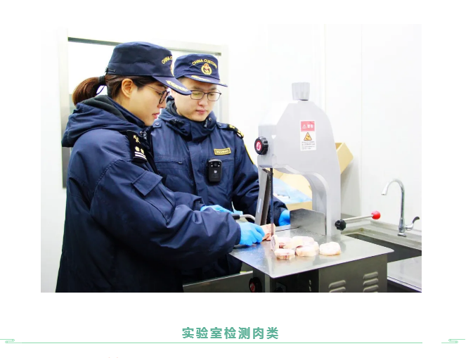 進(jìn)口外貿(mào)代理