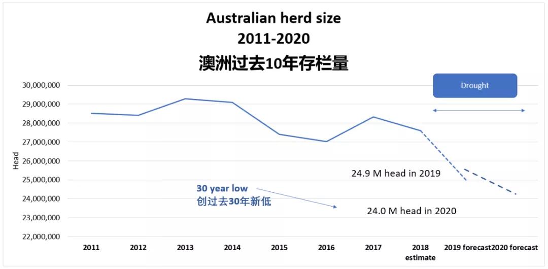 進(jìn)口外貿(mào)代理
