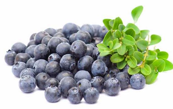 進(jìn)口外貿(mào)代理