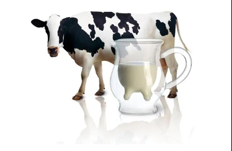 進(jìn)口外貿(mào)代理