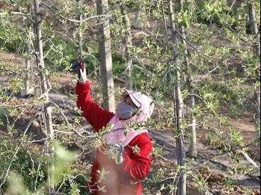 出口外貿(mào)代理